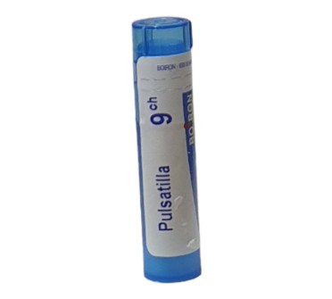 PULSATILLA 9 CH